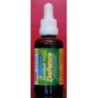 Fortified Defence - Oregano Oil and Olive Leaf 50ml