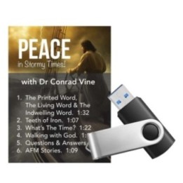 Peace in Stormy Times - USB