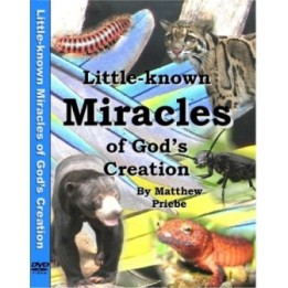 Little-Known Miracles of Gods Creation