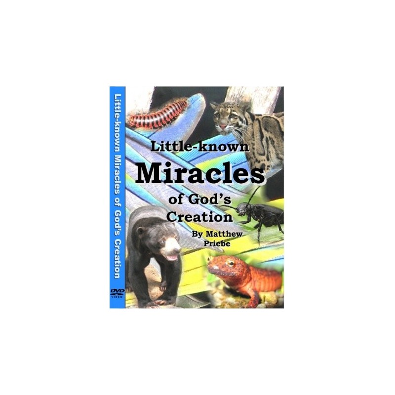 Little-Known Miracles of Gods Creation