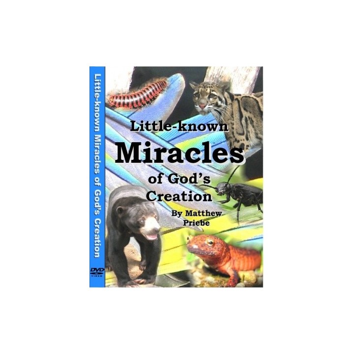Little-Known Miracles of Gods Creation