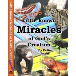 Little-Known Miracles of God's Creation - For Kids