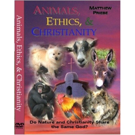 Animals