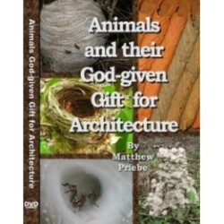 Animals and their God-given Gift for Architecture