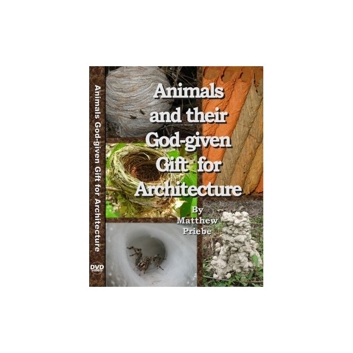 Animals and their God-given Gift for Architecture