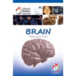 Brain - Water and Trust