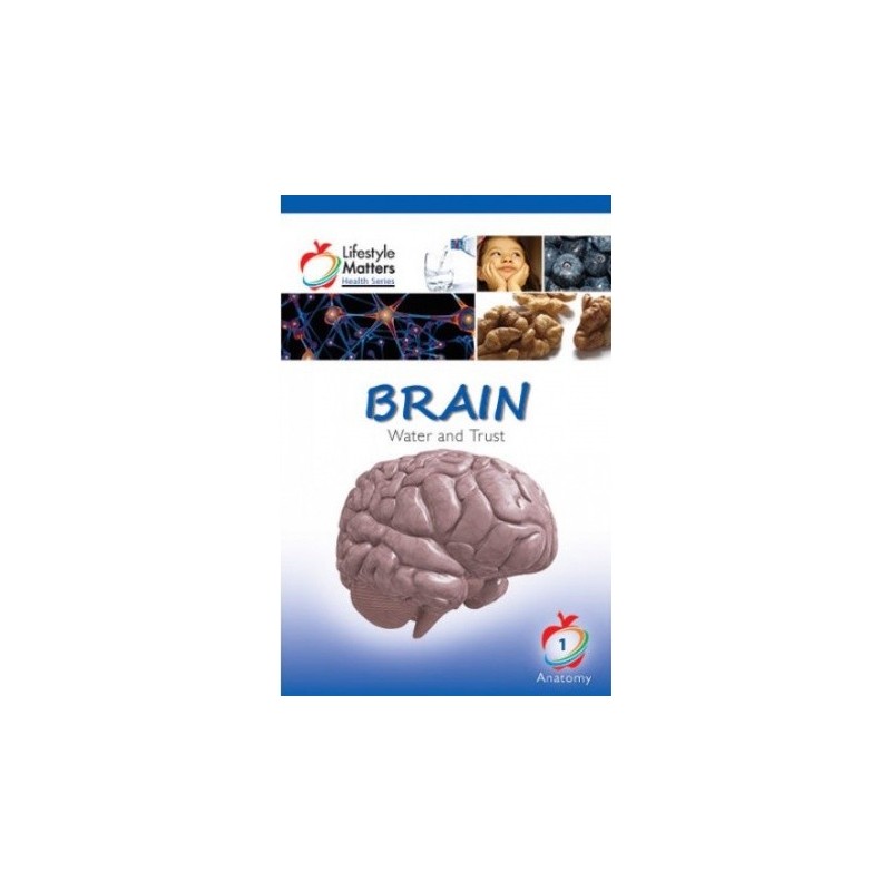 Brain - Water and Trust