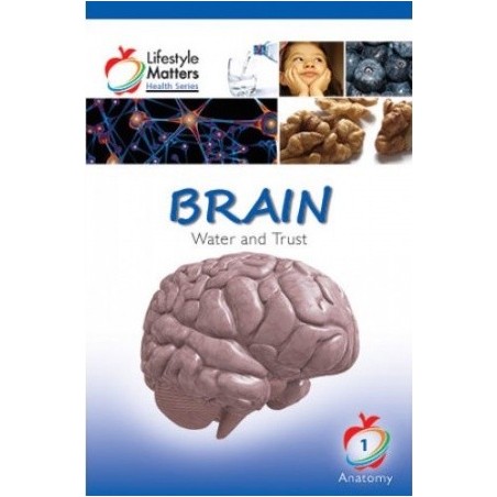 Brain - Water and Trust