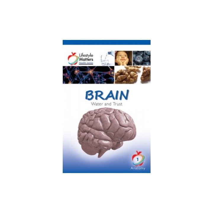 Brain - Water and Trust