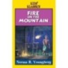 Fire on the Mountain