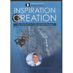 Inspiration from Creation