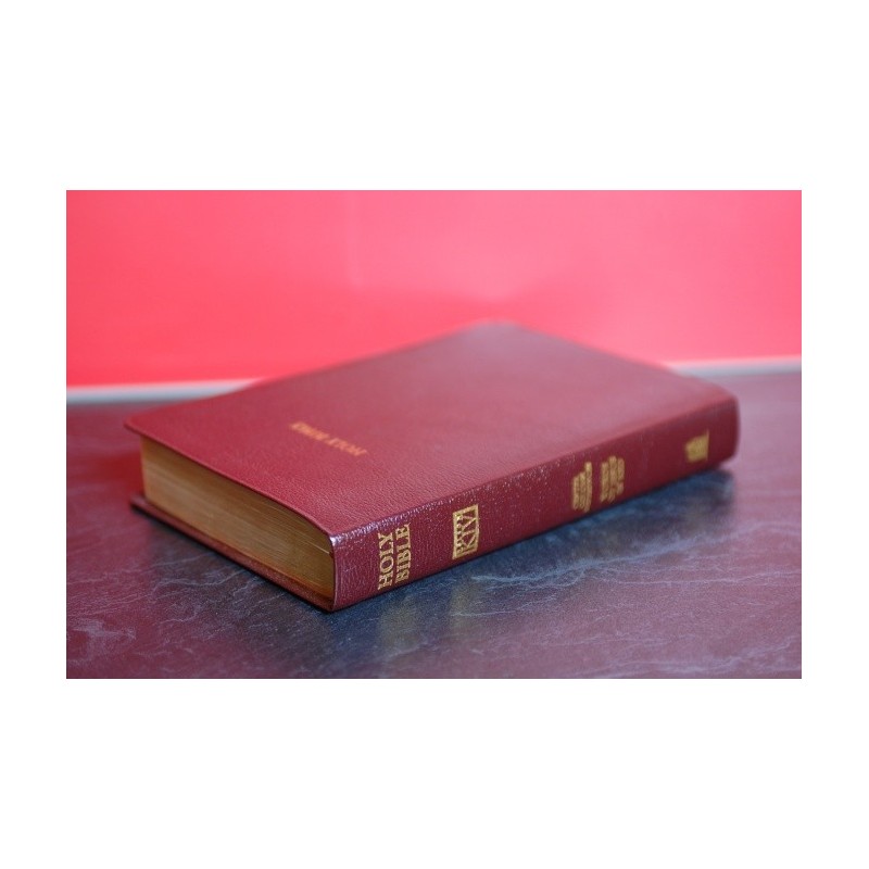 Nelson Center Column Reference KJV bible
