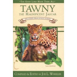 Tawny: The Magnificent Jaguar