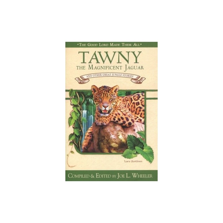 Tawny: The Magnificent Jaguar