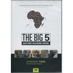 The Big 5 - Henry Stober
