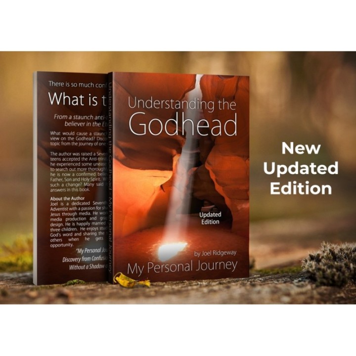 Understanding the Godhead