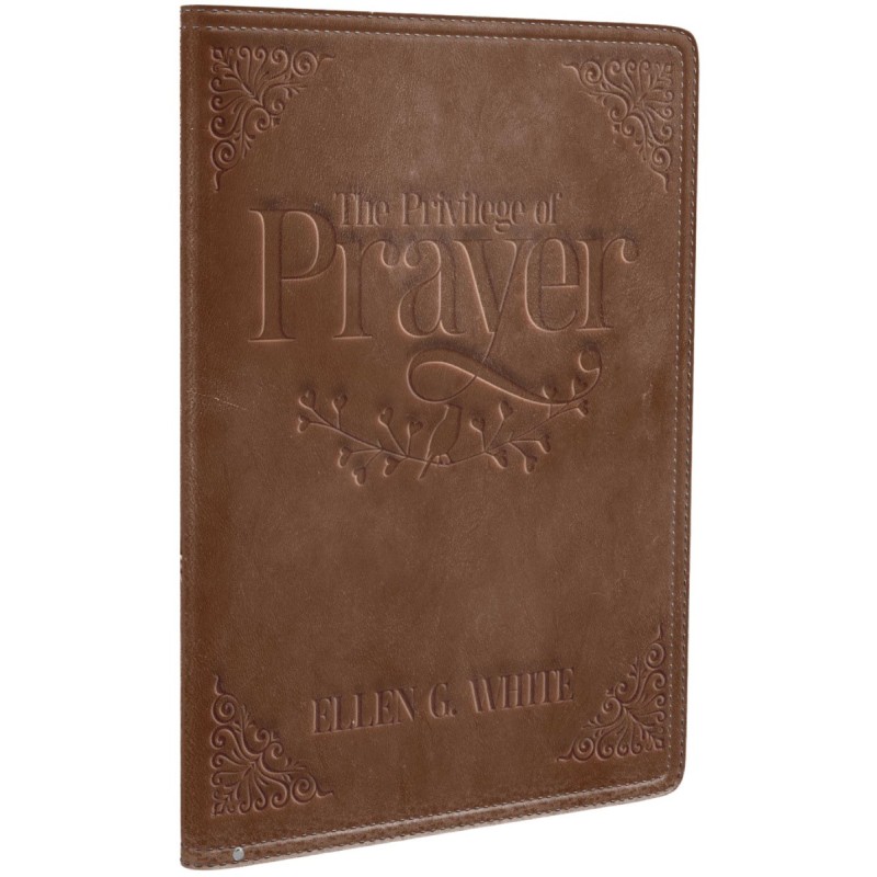 The Privilege of Prayer