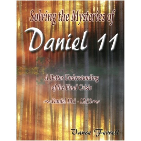 Solving the Mysteries of Daniel 11