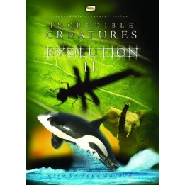 Incredible Creatures That Defy Evolution II