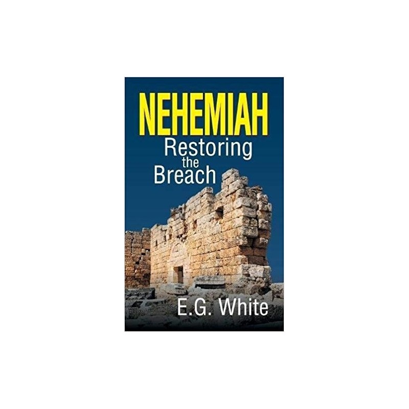 Nehemiah-Restoring the Breach