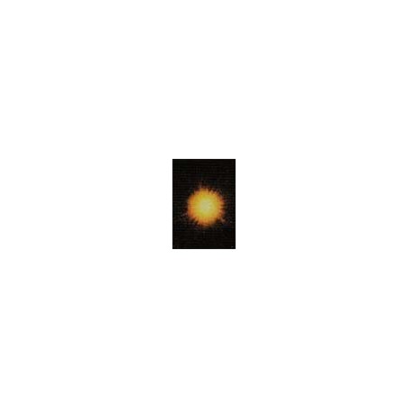 #1 - The Earth In Time & Space