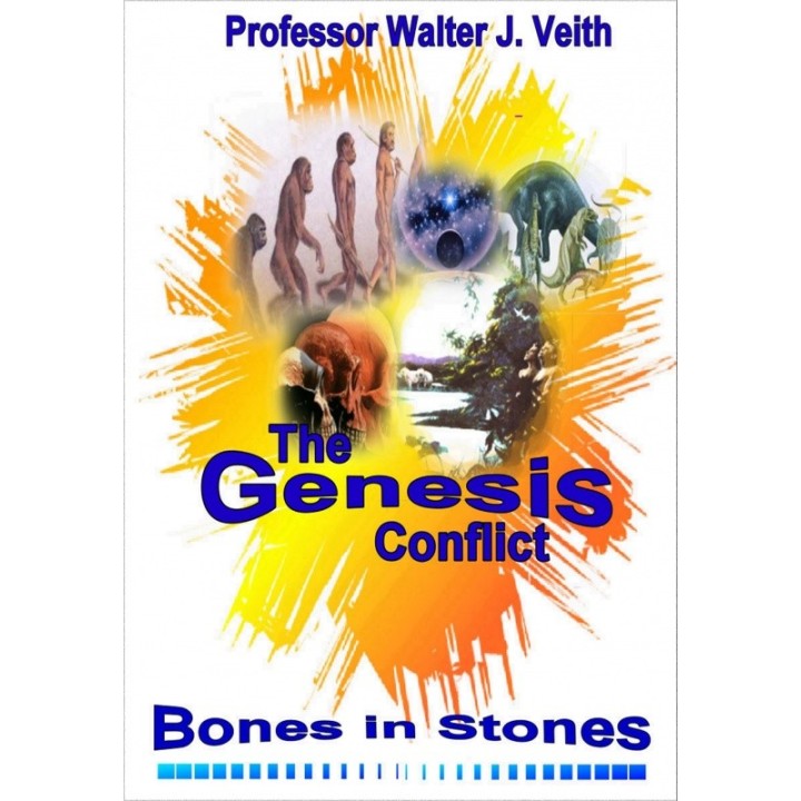 #3 - Bones in Stones