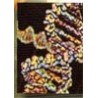 #5 - The Genes of Genesis