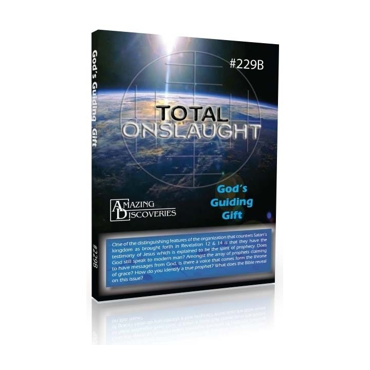 #29 Gods Guiding Gift