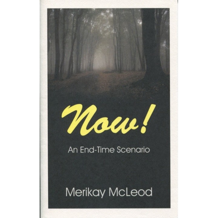 NOW! An End-Time Scenario