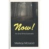 NOW! An End-Time Scenario