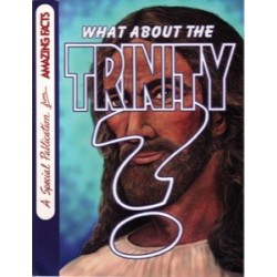What About the Trinity