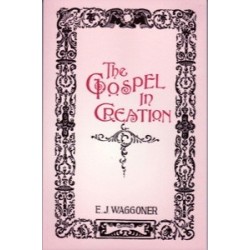The Gospel in Creation