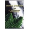 Moments of Reflection #3 with Mark Woodman DVD