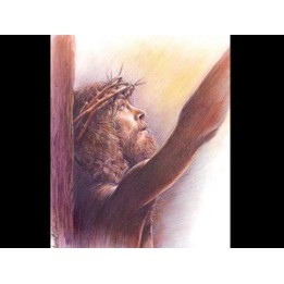 God's Final Call #2 DVD Who is God?