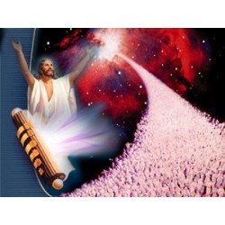 God's Final Call #4 DVD Revelation's 777