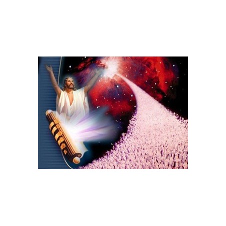 God's Final Call #4 DVD Revelation's 777