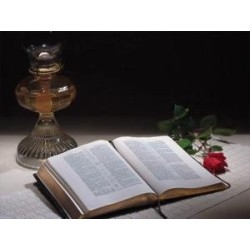 God's Final Call #10 DVD What Happens When We Die?