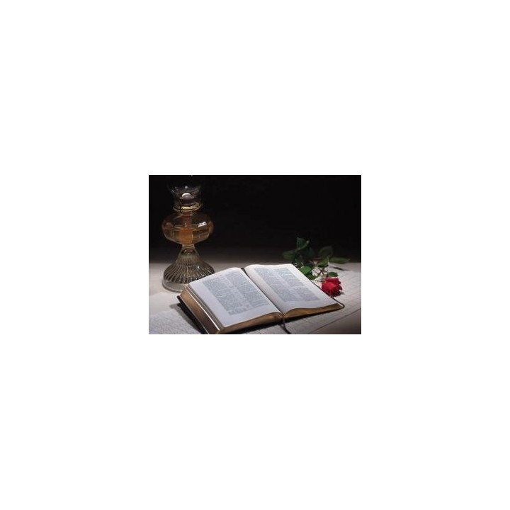 God's Final Call #10 DVD What Happens When We Die?