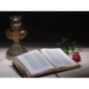 God's Final Call #10 DVD What Happens When We Die?