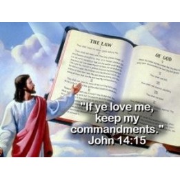 God's Final Call #20 DVD The Final Confrontation