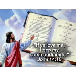 God's Final Call #20 DVD The Final Confrontation