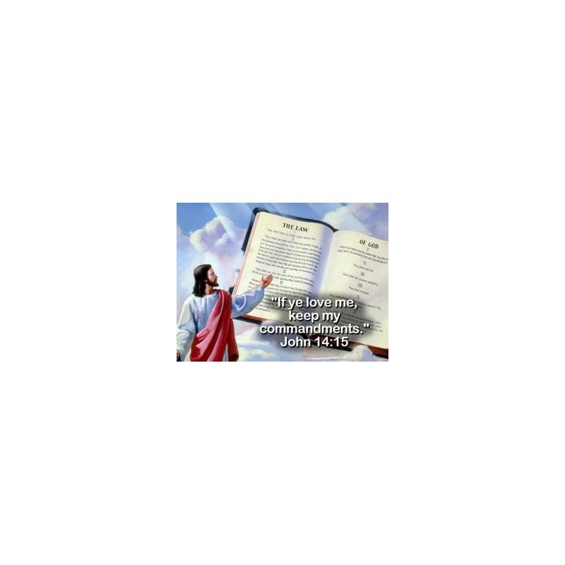 God's Final Call #20 DVD The Final Confrontation