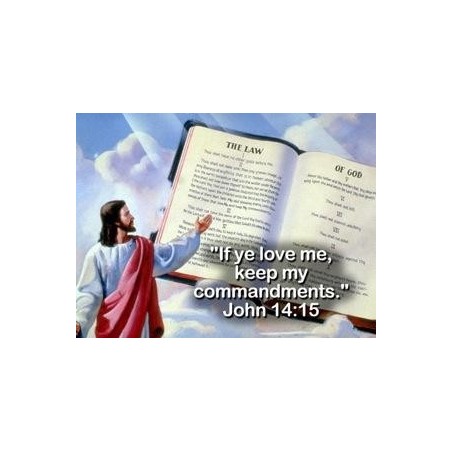 God's Final Call #20 DVD The Final Confrontation