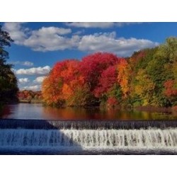 God's Final Call #22 DVD From Creation to Restoration