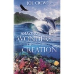 Amazing Wonders of Creation