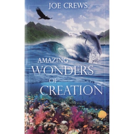 Amazing Wonders of Creation