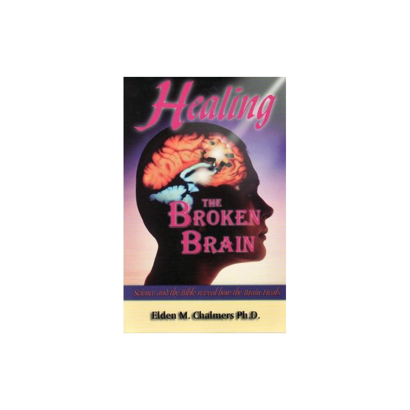 Healing the Broken Brain