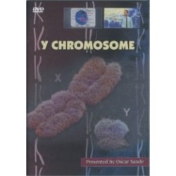 Y Chromosome