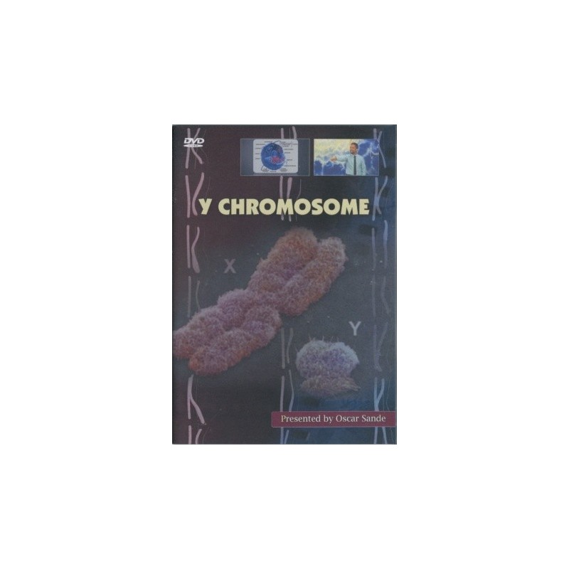 Y Chromosome