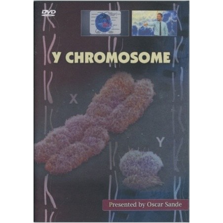 Y Chromosome